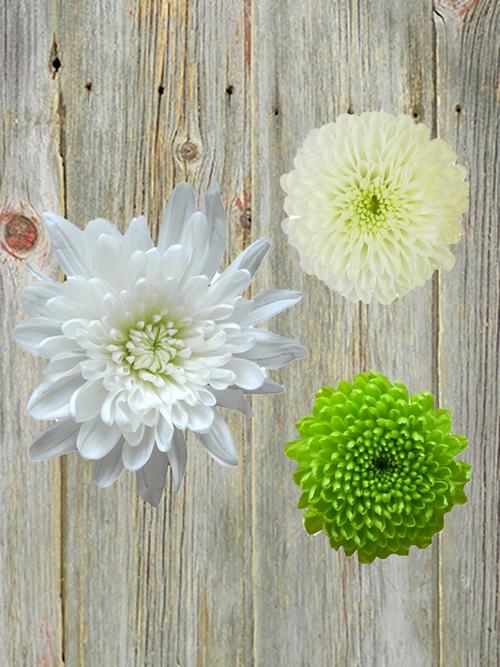 POMPON - HOLIDAY  ASSORTED COMBO BOX